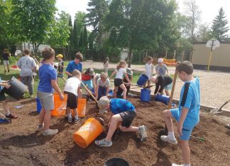 Schoolyard greening projects led by GreenUP include playful, hands-on, educational opportunities for students to plant trees, shrubs, and fruit at their school. As part of the "Reconciling with the Land" initiative, students at St. John Catholic Elementary School in Peterborough were eager to work as a class, adding compost and mulch to areas where they planted trees, shrubs, and berry bushes. (Photo: GreenUP)