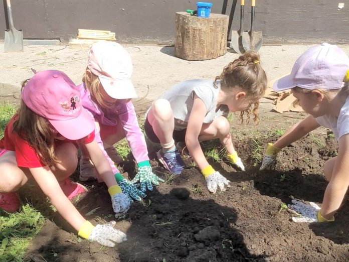 Students at St. Paul Catholic Elementary School in Lakefield prepare the soil for planting while learning about caring for the land as part of the "Reconciling with the Land" initiative. Together, students will plant the site with a patch of berry bushes which include haskap and raspberry for kids to enjoy, and serviceberry and chokeberry for birds to enjoy. (Photo: GreenUP)
