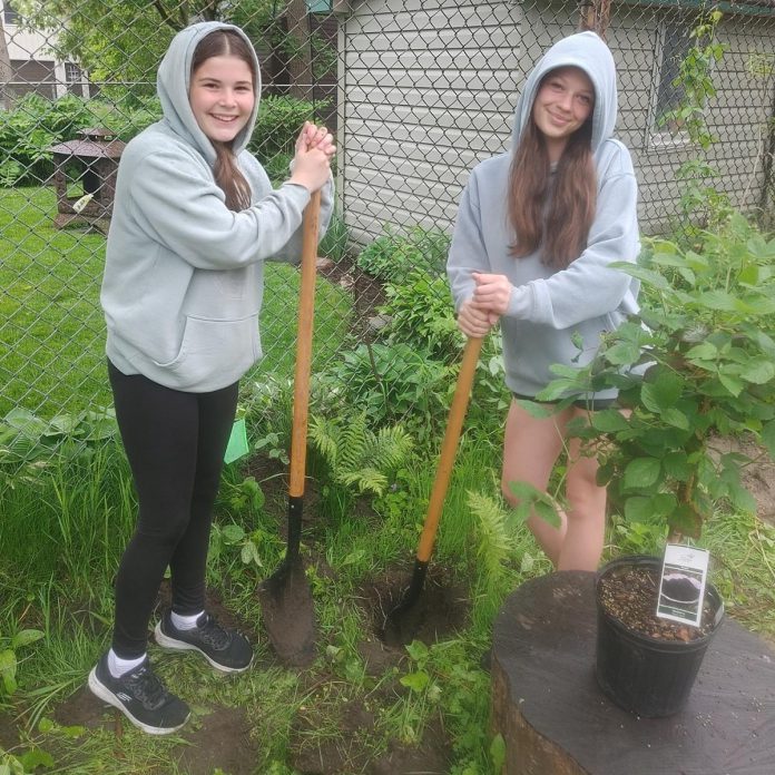 Students at St. John Catholic Elementary School in Peterborough participated in a co-design process as part of the "Reconciling with the Land" initiative, helping to decide what plants should be planted where in their school greening project. Shown here are two students on planting day last spring, putting blackberry and haskap bushes into the ground. (Photo: GreenUP)