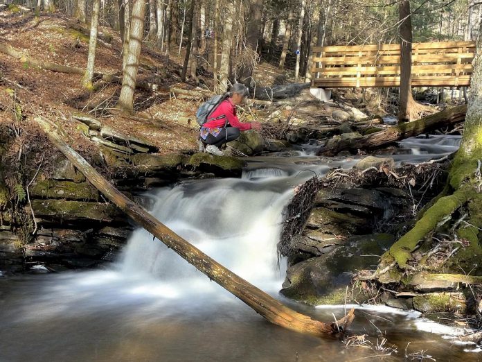 While some of the guided hikes during Hike Haliburton from September 18 to 21, 2025 are focused on sharing stories and knowledge about the Haliburton Highlands, others are more meditative in nature and encourage participants to slow down and reconnect with themselves and nature. (Photo courtesy of Haliburton County)