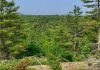 After a months-long campaign, Kawartha Land Trust (KLT) has reached its fundraising goal and is moving forward to purchase a 435-acre ecologically significant private property which is bordered on three sides by Kawartha Highlands Signature Site, a popular destination for locals and visitors to the region. Over 450 people have donated to protect what KLT is calling the Kawartha Highlands South property. (Photo: Thom Unrau / KLT)
