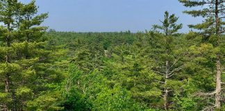 After a months-long campaign, Kawartha Land Trust (KLT) has reached its fundraising goal and is moving forward to purchase a 435-acre ecologically significant private property which is bordered on three sides by Kawartha Highlands Signature Site, a popular destination for locals and visitors to the region. Over 450 people have donated to protect what KLT is calling the Kawartha Highlands South property. (Photo: Thom Unrau / KLT)