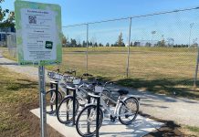 The Lindsay and District Chamber of Commerce has expanded its bike share program with new locations at Wilson Fields (pictured), Logie Park, and across from Victoria Park to provide residents and visitors of Lindsay with 25 rentable bikes across six locations. Made possible through support from the City of Kawartha Lakes Legacy C.H.E.S.T. Fund, the new bikes are intended to support tourism growth, engage new residents, and promote healthy communities. (Photo courtesy of Lindsay and District Chamber of Commerce)