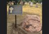 A memorial plaque and stone at St. Peter's Cemetery in Peterborough now marks the spot of a grave that contains the remains of Peter Robinson settlers and descendants that were moved to the newly opened cemetery in 1859. At the time the remains were moved, they could not be identified and were buried in a mass grave. (Photo: Nine Ships 1825)