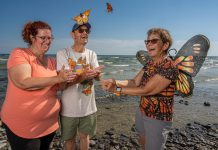 Monarch Teacher Network of Canada instructor Laurel Merriam, Friends of Presqu'ile Park member Don Davis, and "Monarch Butterfly Crusader" Carol Pasternak releasing tagged monarch butterflies at Presqu'ile Provincial Park in 2023. The Friends of Presqu'ile Park, a charitable organization devoted to preserving and protecting the natural heritage of Presqu'ile Provincial Park, invites the public to join park staff and volunteers on August 30 and 31, 2025 for the annual "Monarchs and Migrants Weekend" at the park in the Municipality of Brighton. (Photo: Jaime Rojo / National Geographic)
