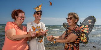 Monarch Teacher Network of Canada instructor Laurel Merriam, Friends of Presqu'ile Park member Don Davis, and "Monarch Butterfly Crusader" Carol Pasternak releasing tagged monarch butterflies at Presqu'ile Provincial Park in 2023. The Friends of Presqu'ile Park, a charitable organization devoted to preserving and protecting the natural heritage of Presqu'ile Provincial Park, invites the public to join park staff and volunteers on August 30 and 31, 2025 for the annual "Monarchs and Migrants Weekend" at the park in the Municipality of Brighton. (Photo: Jaime Rojo / National Geographic)