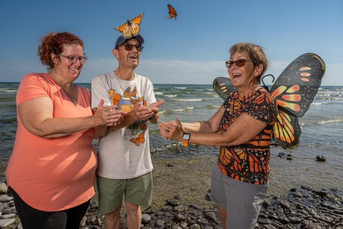 Monarch Teacher Network of Canada instructor Laurel Merriam, Friends of Presqu'ile Park member Don Davis, and "Monarch Butterfly Crusader" Carol Pasternak releasing tagged monarch butterflies at Presqu'ile Provincial Park in 2023. The Friends of Presqu'ile Park, a charitable organization devoted to preserving and protecting the natural heritage of Presqu'ile Provincial Park, invites the public to join park staff and volunteers on August 30 and 31, 2025 for the annual "Monarchs and Migrants Weekend" at the park in the Municipality of Brighton. (Photo: Jaime Rojo / National Geographic) Monarch Teacher Network of Canada instructor Laurel Merriam, Friends of Presqu'ile Park member Don Davis, and "Monarch Butterfly Crusader" Carol Pasternak releasing tagged monarch butterflies at Presqu'ile Provincial Park in 2023. The Friends of Presqu'ile Park, a charitable organization devoted to preserving and protecting the natural heritage of Presqu'ile Provincial Park, invites the public to join park staff and volunteers on August 30 and 31, 2025 for the annual "Monarchs and Migrants Weekend" at the park in the Municipality of Brighton. (Photo: Jaime Rojo / National Geographic)