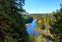 Taking in the expansive view of the Indian River from the scenic lookout trail at Warsaw Caves Conservation Area and Campground is just one of many outdoor adventures you can enjoy when road tripping through the Township of Douro-Dummer in Peterborough County. (Photo: Otonabee Conservation)
