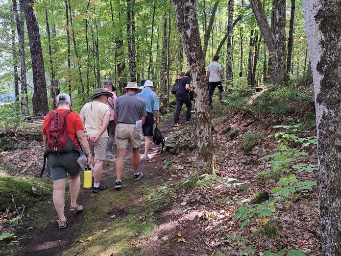 While the Tecasy Ranch trails that will be used during the Musical Nature Walk on September 6, 2025 are all marked "easy" and suitable for casual hikers, there are some areas of elevation that are rocky or covered in roots. Guests are encouraged to bring proper footwear and walking sticks if required. The event is not suitable for people who use mobility devices. (Photo courtesy of Peterborough Symphony Orchestra)