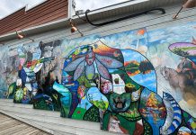 This summer, more than 70 Bancroft and area professional and amateur artists helped revitalize an iconic mural on the west side of the 23 Bridge Street building as part of the "Embrace" community-driven project held by A Place for the Arts. The revitalized mural, which was originally painted by celebrated local artist Arne Roosman in 2014, was unveiled at a celebratory community event on September 13, 2025. (Photo: Megan Gallant / kawarthaNOW)