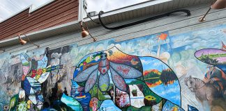 This summer, more than 70 Bancroft and area professional and amateur artists helped revitalize an iconic mural on the west side of the 23 Bridge Street building as part of the "Embrace" community-driven project held by A Place for the Arts. The revitalized mural, which was originally painted by celebrated local artist Arne Roosman in 2014, was unveiled at a celebratory community event on September 13, 2025. (Photo: Megan Gallant / kawarthaNOW)
