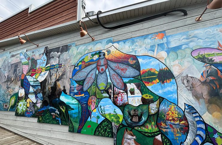 This summer, more than 70 Bancroft and area professional and amateur artists helped revitalize an iconic mural on the west side of the 23 Bridge Street building as part of the "Embrace" community-driven project held by A Place for the Arts. The revitalized mural, which was originally painted by celebrated local artist Arne Roosman in 2014, was unveiled at a celebratory community event on September 13, 2025. (Photo: Megan Gallant / kawarthaNOW)