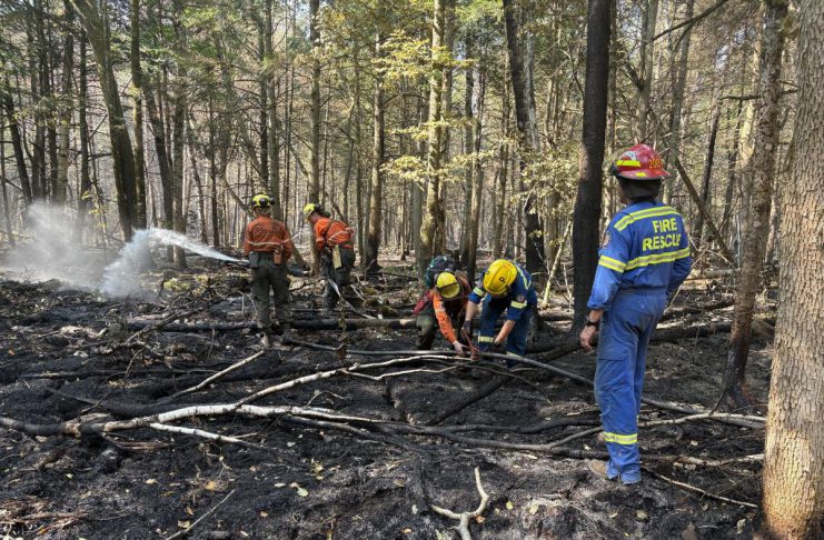 Crews fighting the HAL019 fire east of Burnt River in Kawartha Lakes, which burned across 27 hectares from August 9 to 20, 2025. During that time, Burnt River metal artist Christina Handley used her large Facebook following to collect hundreds of dollars so she could buy drinks and snacks that would energize the firefighters who were battling to bring the fire under control for hours in the heat. (Photo: City of Kawartha Lakes)