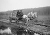 An AI-generated image of two men driving a horse-drawn wagon carrying a load of dynamite along a corduroy road, similar to the 1885 incident in Dourgo that resulted in a massive explosion, killing Tweed residents George Morton and James Simmons and their horses as they were transporting dynamite to Burleigh Falls for construction of the Trent-Severn Waterway lock. (Photo: Google Gemini)