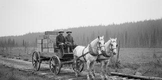 An AI-generated image of two men driving a horse-drawn wagon carrying a load of dynamite along a corduroy road, similar to the 1885 incident in Dourgo that resulted in a massive explosion, killing Tweed residents George Morton and James Simmons and their horses as they were transporting dynamite to Burleigh Falls for construction of the Trent-Severn Waterway lock. (Photo: Google Gemini)