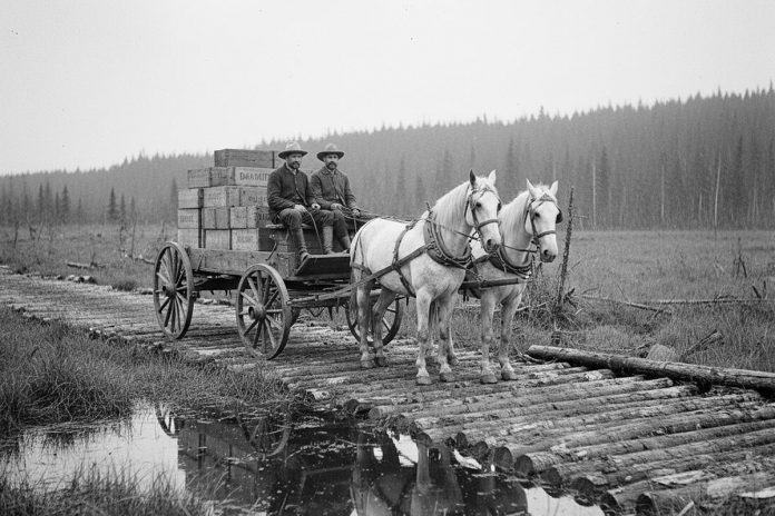 An AI-generated image of two men driving a horse-drawn wagon carrying a load of dynamite along a corduroy road, similar to the 1885 incident in Dourgo that resulted in a massive explosion, killing Tweed residents George Morton and James Simmons and their horses as they were transporting dynamite to Burleigh Falls for construction of the Trent-Severn Waterway lock. (Photo: Google Gemini) An AI-generated image of two men driving a horse-drawn wagon carrying a load of dynamite along a corduroy road, similar to the 1885 incident in Dourgo that resulted in a massive explosion, killing Tweed residents George Morton and James Simmons and their horses as they were transporting dynamite to Burleigh Falls for construction of the Trent-Severn Waterway lock. (Photo: Google Gemini)