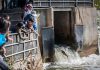 People watch migrating salmon at the fish ladder at Corbett's Dam in Port Hope, part of a fish sanctuary where fishing is prohibited at all times to protect salmon and wild trout populations. (Photo: Municipality of Port Hope)