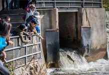 People watch migrating salmon at the fish ladder at Corbett's Dam in Port Hope, part of a fish sanctuary where fishing is prohibited at all times to protect salmon and wild trout populations. (Photo: Municipality of Port Hope)