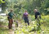Restoration Wednesday volunteers Stephanie Larstone (left) and Sophia Ibrahim (right) remove invasive common buckthorn and other undesirable plants with GreenUP landscape steward Andréanna Sullivan at Ecology Park. The crew cleared the area ahead of a restoration planting. (Photo: Yvonne Hollandy / GreenUP)
