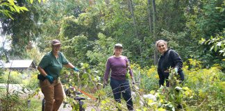 Restoration Wednesday volunteers Stephanie Larstone (left) and Sophia Ibrahim (right) remove invasive common buckthorn and other undesirable plants with GreenUP landscape steward Andréanna Sullivan at Ecology Park. The crew cleared the area ahead of a restoration planting. (Photo: Yvonne Hollandy / GreenUP)