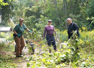 Restoration Wednesday volunteers Stephanie Larstone (left) and Sophia Ibrahim (right) remove invasive common buckthorn and other undesirable plants with GreenUP landscape steward Andréanna Sullivan at Ecology Park. The crew cleared the area ahead of a restoration planting. (Photo: Yvonne Hollandy / GreenUP)