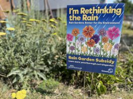 Through the City of Peterborough's Rain Garden Subsidy Program, eligible homeowners receive up to $1,000 toward the cost of designing and installing a rain garden, with support from GreenUP. The pilot program is coming to a close in fall 2005. Pictured is a rain garden at the east-end home of Peterborough resident Sheila Day, who took part in the program. (Photo: Yvonne Hollandy / GreenUP)