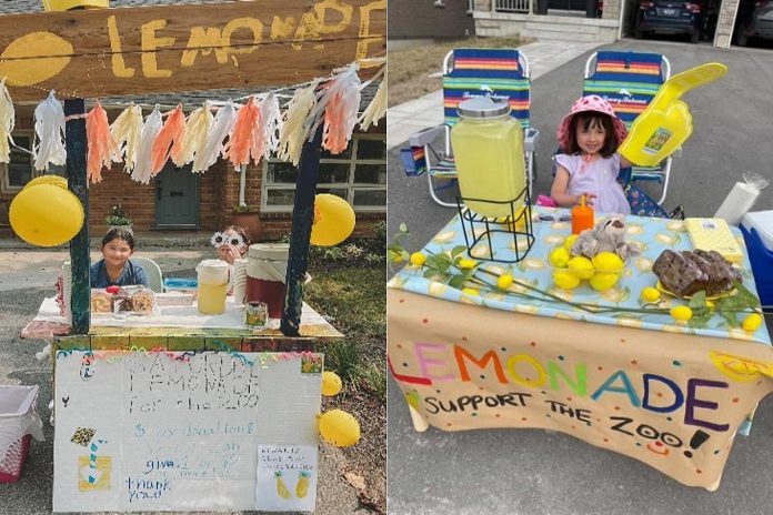Three of the young entrepreneurs who participated in the first-ever Kiwanis Lemonade Stand Day on August 23, 2025 to raise funds for the Rotary Accessible Playground Project at Riverview Park and Zoo. (Photos courtesy of Kiwanis Club of Scott's Plains)