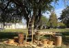 Learn how 19th-century settlers preserved the fall harvest and prepared for the winter during Applefest at Lang Pioneer Village Museum in Keene on October 5, 2025. (Photo: Hailey Doughty)