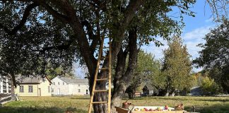 Learn how 19th-century settlers preserved the fall harvest and prepared for the winter during Applefest at Lang Pioneer Village Museum in Keene on October 5, 2025. (Photo: Hailey Doughty)