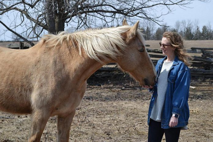 The Mane Intent in the Township of Asphodel-Norwood offers equine-assisted psychotherapy for youth, adults, and families across Ontario as well as horse-inspired wellness experiences that will renew your heart, mind, body, and spirit. (Photo: The Mane Intent)