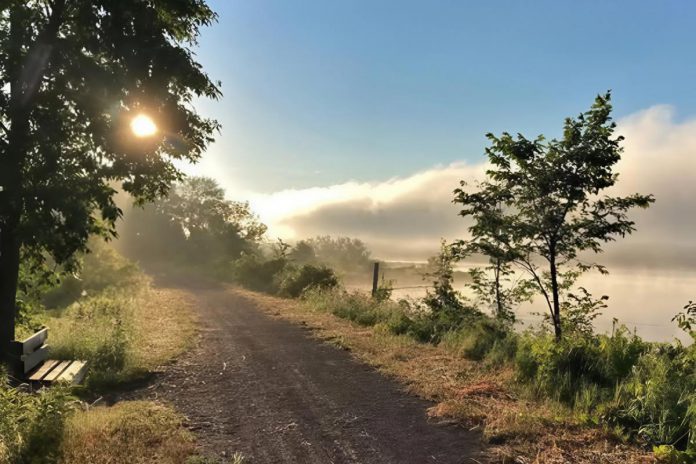 While road tripping in the Township of Asphodel-Norwood, you can visit the Mill Pond Forest Trails, a system of short trails passing everything from riverbanks to open-air meadows, lookouts, and picnic spots. (Photo: Township of Asphodel-Norwood)