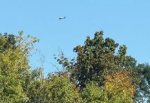 An OPP helicopter joined a large-scale Peterborough police search that began September 15, 2025 for a 34-year-old man wanted in connection with non-violent crimes. (Photo: Peterborough Police Service)