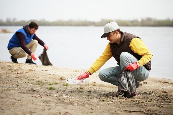Two male volunteers collection trash on a beach. (Stock photo)