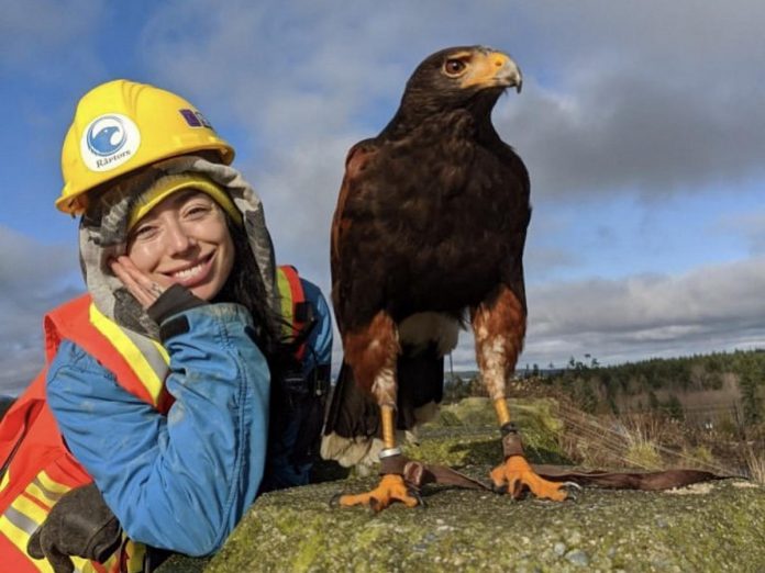Caolaidhe Keelor with Goose, a harris hawk, at a landfill when she worked in falconry and used birds of prey to scare away gulls and other creatures. Working in landfills opened her mind to how much waste we produce and how it affects the animal kingdom, inspiring her to work towards conservation initiatives. (Photo courtesy of Caolaidhe Keelor)