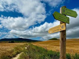 Founded by three local residents and veteran Camino pilgrims, the new Peterborough Chapter of the Canadian Company of Pilgrims is making it easy for adventure-seekers to learn more about the Camino de Santiago, an extensive network of trails leading to the Cathedral of Santiago de Compostela in Spain. The non-denominational volunteer-run group provides mentorship and resources to help local travellers plan the lodging, packing or other guidelines for their adventures, whether they are going for religious, spiritual, sport, or other purposes. (Photo: Canadian Company of Pilgrims - Peterborough Chapter / Facebook)