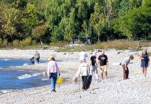 Some of the 124 volunteers who participated in the inaugural Great Lakes Coastal Cleanup in Cobourg on September 28, 2025. The volunteers collected 1,200 pieces of plastic and other debris along the Cobourg shoreline of Lake Ontario. (Photo: Town of Cobourg)