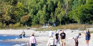 Some of the 124 volunteers who participated in the inaugural Great Lakes Coastal Cleanup in Cobourg on September 28, 2025. The volunteers collected 1,200 pieces of plastic and other debris along the Cobourg shoreline of Lake Ontario. (Photo: Town of Cobourg)