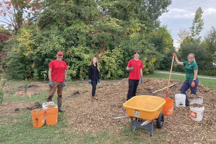 In addition to the 515 trees planted at Wedgwood Park in Peterborough on September 10, 2025, 305 native trees were planted at Rogers Cove as part of the City of Peterborough's Trees 4 Peterborough initiative. (Photo courtesy of City of Peterborough)
