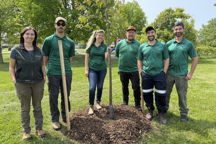 The City of Peterborough's urban forest tree planting program aims to restore ecological services, improve species diversity, and create a healthier and greener city for future generations. Pictured are the city's urban forest program staff. (Photo courtesy of City of Peterborough)