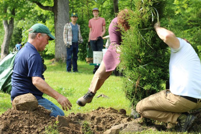 Staff from Cambium Consulting & Engineering, a member of Green Economy Peterborough, joined tree-planting efforts to rebuild the tree canopy along the Trans Canada Trail in GreenUP Ecology Park after storm damage, highlighting their role in a local network of businesses working together toward a low-carbon and sustainable future. (Photo: Connor Evans / Cambium)