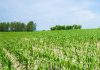Northumberland County is hosting a series of open houses in October 2025 for the public to review the draft of an agriculture amendment to the county's official plan, including proposed updates to mapping. (Photo: Northumberland County)