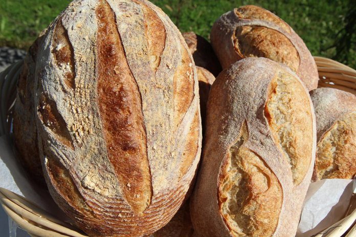 Located in the village of Havelock, Wildflower Bakery handcrafts organic sourdough loaves in a variety of styles including plain, raisin, and walnut. The bakery also stocks European-style pastries, like a signature pain au chocolat, and features a gallery of locally made artwork and pottery. (Photo: The Kawarthas Tourism)