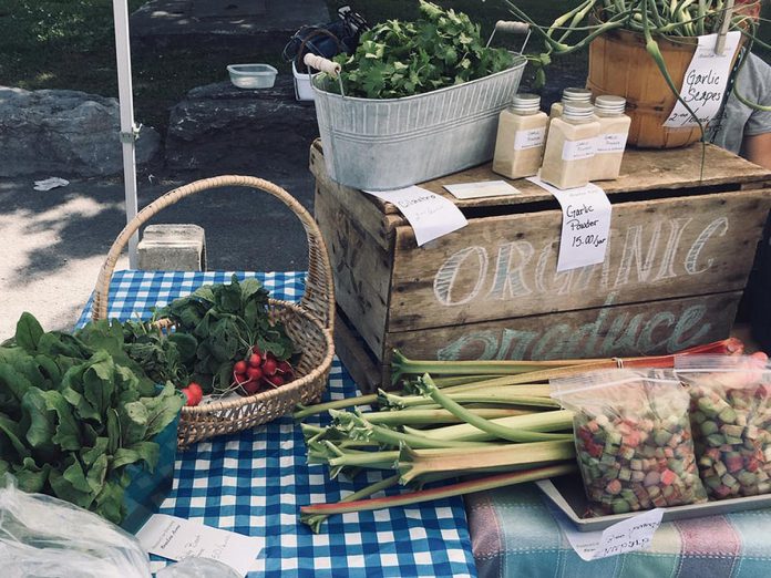 The Havelock Farmer and Artisan Market is the only afternoon farmers' market in The Kawarthas. Held on Fridays throughout the summer, the market features local farmers, bakers, food vendors, and artisans. (Photo: Havelock Farmer and Artisan Market)