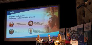 A panel discussion on agritourism during the inaugural Regional Tourism Summit hosted by Regional Tourism Organization 8 (RTO8) at the Capitol Theatre in Port Hope on October 21, 2025. With a keynote address, panel discussions, and networking opportunities, the event saw tourism operators and partners from across the Kawartha Northumberland region gather for a day learning about the challenges and opportunities that exist in the industry regionally, with a focus on strengthening partnerships and collaborations. (Photo courtesy of RTO8)