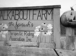 A registered charitable organization located in Minden, Walkabout Farm Therapeutic Riding Association is hosting a family-friendly and autism-aware Halloween fundraiser on October 25, 2025. The second annual "Warped Woods Halloween Show" will see volunteers (including many program participants) dressed as zombies and ghouls to scare visitors walking along an accessible trail through the woods, to raise money to cover the cost of hay bales for the farm's horses over the winter. Young children and those on the autism spectrum who don't want to be scared will be given a lantern to signal to volunteers to disengage and not scare them. (Photo courtesy of Walkabout Farm Therapeutic Riding Association)