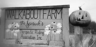 A registered charitable organization located in Minden, Walkabout Farm Therapeutic Riding Association is hosting a family-friendly and autism-aware Halloween fundraiser on October 25, 2025. The second annual "Warped Woods Halloween Show" will see volunteers (including many program participants) dressed as zombies and ghouls to scare visitors walking along an accessible trail through the woods, to raise money to cover the cost of hay bales for the farm's horses over the winter. Young children and those on the autism spectrum who don't want to be scared will be given a lantern to signal to volunteers to disengage and not scare them. (Photo courtesy of Walkabout Farm Therapeutic Riding Association)