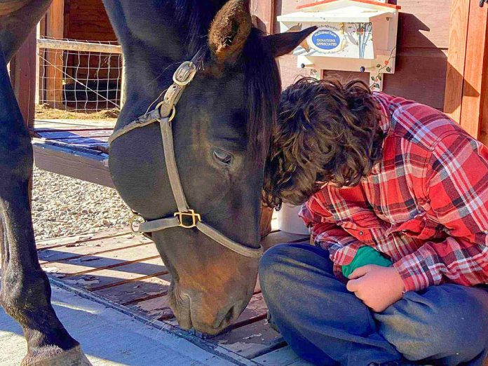 Located in Minden, Walkabout Farm Therapeutic Association is a charitable organization that offers no-cost equine-assisted therapy and other programs to support people and families with special needs. The farm runs entirely on donations and hosts regular fundraising events to support operations and to keep the programs accessible. (Photo courtesy of Walkabout Farm Therapeutic Riding Association