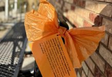 Orange bows and explanatory cards are being displayed throughout Brighton to mark the UN's "16 Days of Activism Against Gender-Based Violence" campaign that runs from November 25 to December 10, 2025. Municipality of Brighton council recently voted to support the campaign by proclaiming November 25 to December 10 as "Orange Days, End Violence Against Women and Girls" and by providing permission for orange bows to be affixed to municipally owned property such as park benches. (Photo: Municipality of Brighton)
