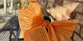 Orange bows and explanatory cards are being displayed throughout Brighton to mark the UN's "16 Days of Activism Against Gender-Based Violence" campaign that runs from November 25 to December 10, 2025. Municipality of Brighton council recently voted to support the campaign by proclaiming November 25 to December 10 as "Orange Days, End Violence Against Women and Girls" and by providing permission for orange bows to be affixed to municipally owned property such as park benches. (Photo: Municipality of Brighton)