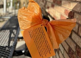 Brighton marks ‘Orange Days’ from November 25 to December 10 in support of global campaign to end violence against women Orange bows and explanatory cards are being displayed throughout Brighton to mark the UN's "16 Days of Activism Against Gender-Based Violence" campaign that runs from November 25 to December 10, 2025. Municipality of Brighton council recently voted to support the campaign by proclaiming November 25 to December 10 as "Orange Days, End Violence Against Women and Girls" and by providing permission for orange bows to be affixed to municipally owned property such as park benches. (Photo: Municipality of Brighton)